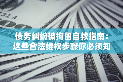 北京债务纠纷被拘留自救指南：这些合法维权步骤你必须知道！