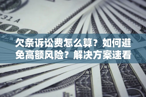 北京欠条诉讼费怎么算？如何避免高额风险？解决方案速看！