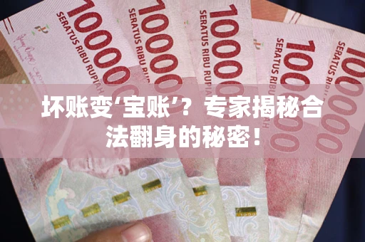 北京坏账变‘宝账’？专家揭秘合法翻身的秘密！