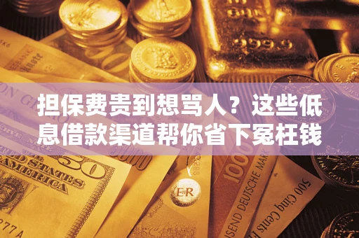 北京担保费贵到想骂人？这些低息借款渠道帮你省下冤枉钱