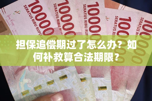 北京担保追偿期过了怎么办？如何补救算合法期限？