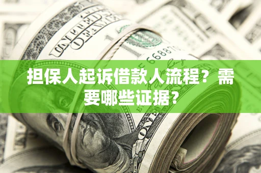 北京担保人起诉借款人流程？需要哪些证据？