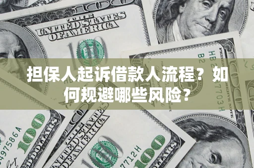 北京担保人起诉借款人流程？如何规避哪些风险？