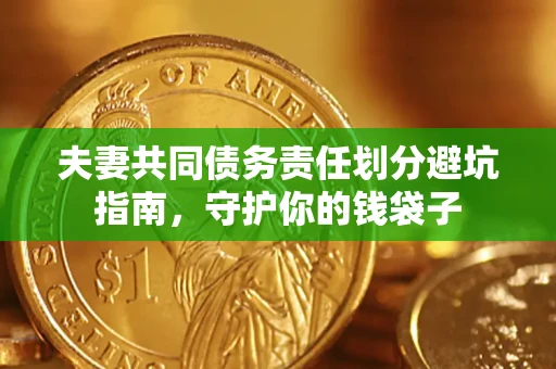 北京夫妻共同债务责任划分避坑指南，守护你的钱袋子