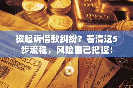 北京被起诉借款纠纷？看清这5步流程，风险自己把控！